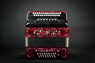 Обучение не мучение (ГАРМОНЬ)