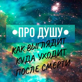 Про Душу людей и животных