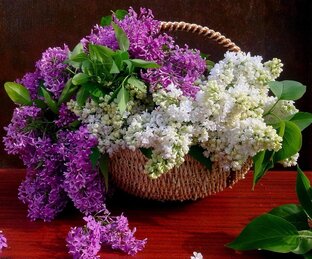 Релаксация 