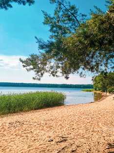 Питер и Ленобласть