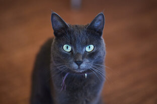 Мои рассказы