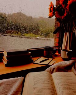 Книг 📚