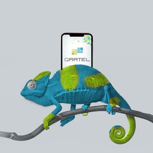 О связи с GARTEL