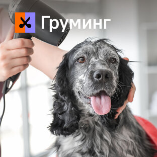 Груминг
