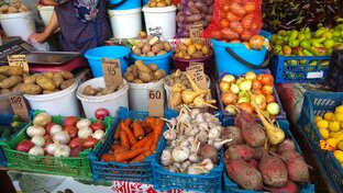 Обзор продуктов [Анапа]