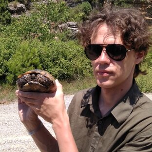 Удивительный Мир Животных