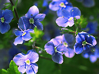 12 ЗАДАНИЕ ПРОФИЛЬНОГО ЕГЭ ПО МАТЕМАТИКЕ