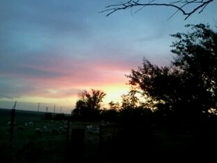 Рассказы из провинции.