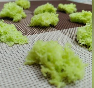 Молекулярная гастрономия 