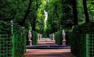 Сады и Парки Петербурга