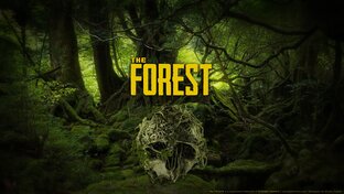 The forest