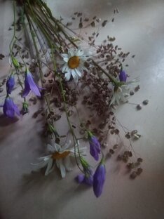 Размышления