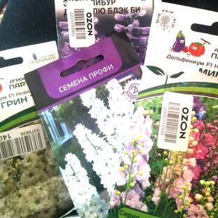 Сеем многолетники!