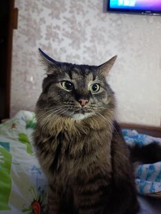 Мой преданный и верный друг!