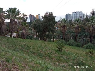 Путешествия