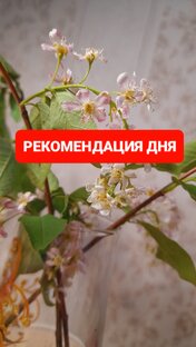 КАРТА ДНЯ НА ТАРО 🃏 