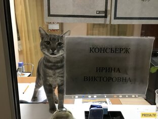 Работа на пенсии