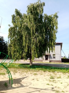Лето, ах лето