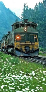 Истории в поездах