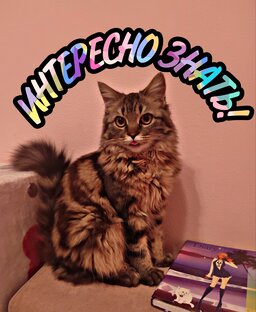 Интересно знать!