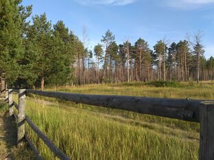 Природа Западной Сибири