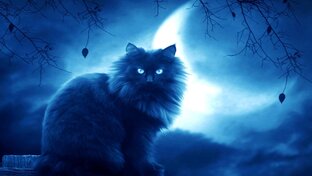 Немного мистические истории