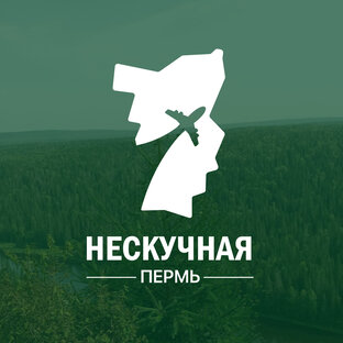 Дзен Нескучная Пермь статистика