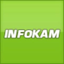 Статистика Дзен Инфокам