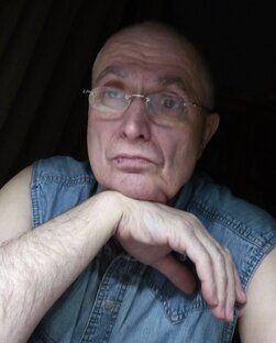 Дзен Владимир Данилюк статистика