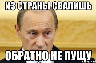 Дзен Свалил из страны статистика