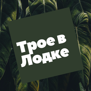 Дзен Трое в лодке статистика