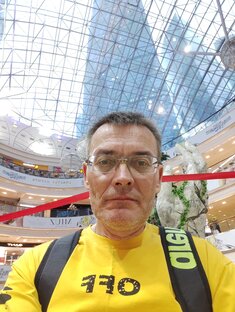 Статистика Дзен Анатолий Зимин · Бизнес-иммунитет в эпоху ИИ