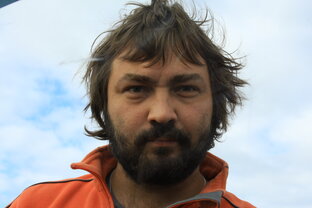 Дзен Krohinzon статистика