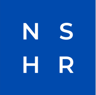Статистика Дзен NSHR рекрутинг как игра