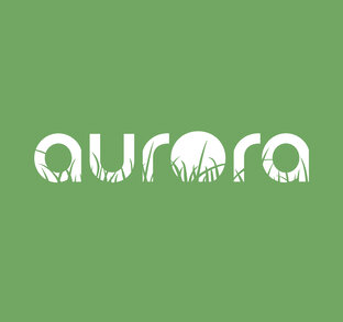 Дзен Aurora LLC статистика