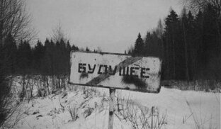 Дзен дачник статистика