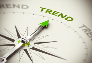 Дзен TREND статистика