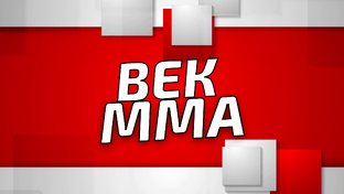 Дзен ВЕК ММА статистика