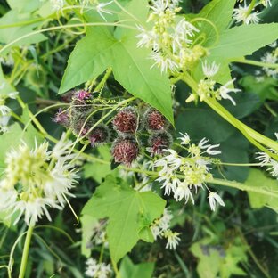 Дзен Книжная призма | Книги 📚 статистика