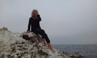 Статистика Дзен крымская попутчица