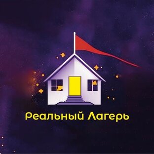 Статистика Дзен Реальный Лагерь | ИИ-Лагерь
