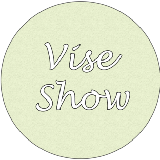 Дзен ViseShow статистика