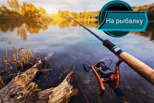 Дзен На рыбалку статистика