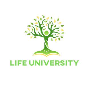 Статистика Дзен  Life University