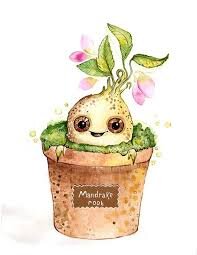 Дзен MandragoraScream статистика