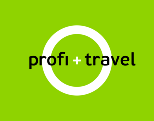 Статистика Дзен Profi.Travel