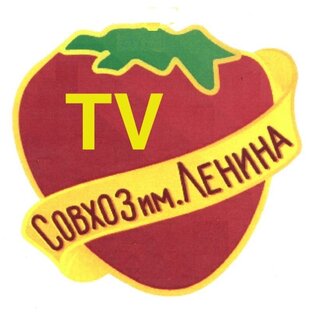 Статистика Дзен ТВ Совхоз