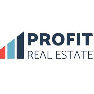 Статистика Дзен Profit Real Estate
