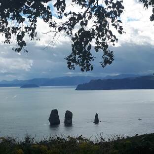 Логотип канала Хозяйка дома с Камчатки