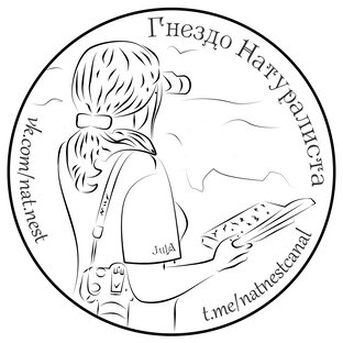 Статистика Дзен Гнездо Натуралиста 🏕